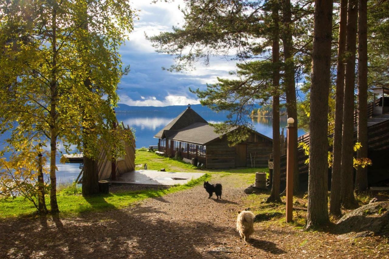 Herranniemi Guesthouse Vuonislahti Eksteriør bilde